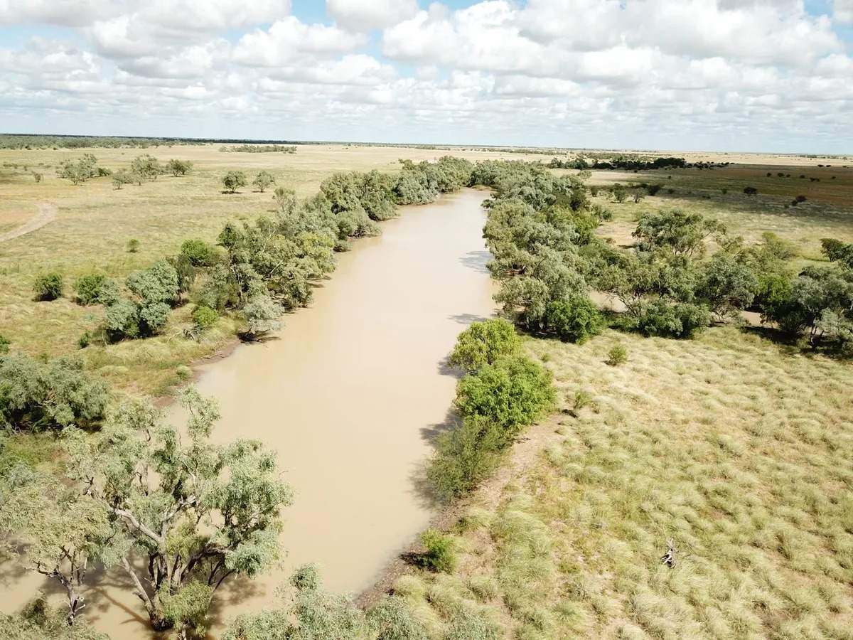 Ernestina Plains, Oorindi Sold by Farmbuy.com - image 15