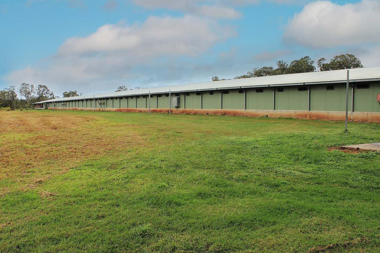 Walkamin Expressions of Interest by Farmbuy.com - image 4
