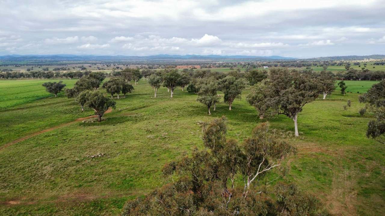 302 Glenbrook Road, Manilla Auction by Farmbuy.com - image 4