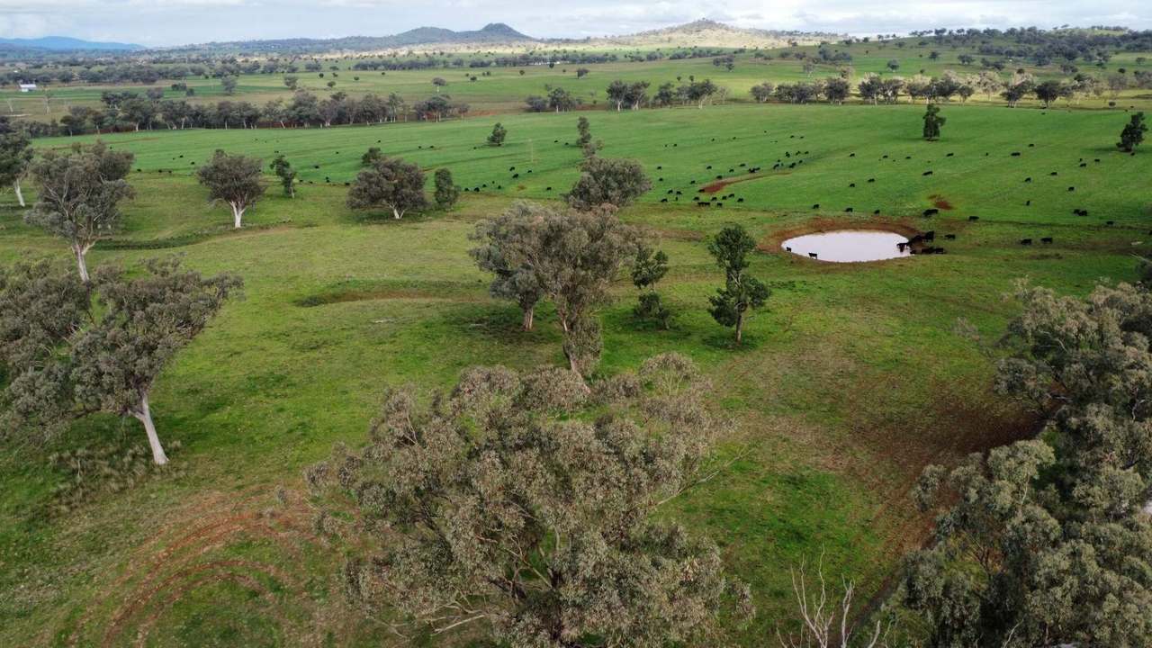302 Glenbrook Road, Manilla Auction by Farmbuy.com - image 3
