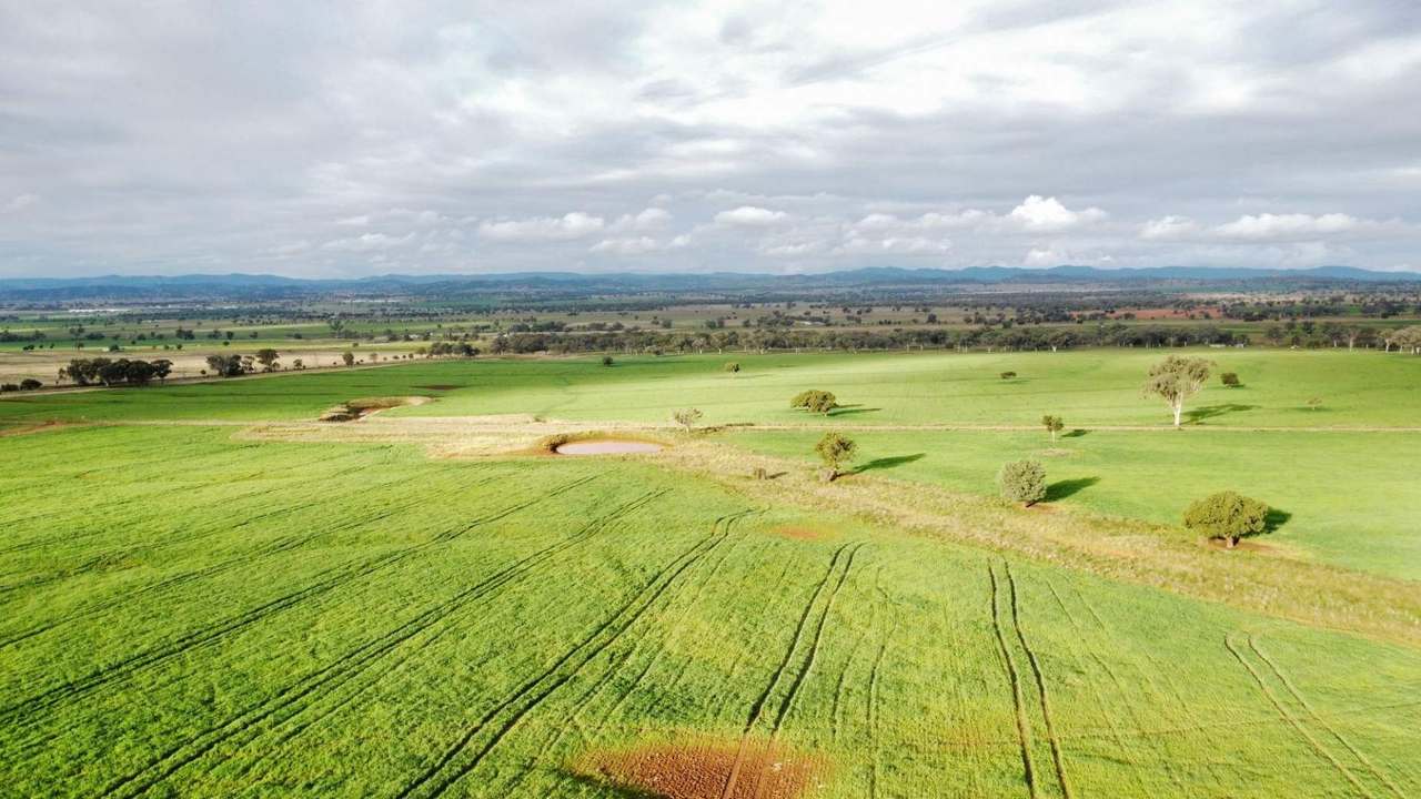 302 Glenbrook Road, Manilla Auction by Farmbuy.com - image 2