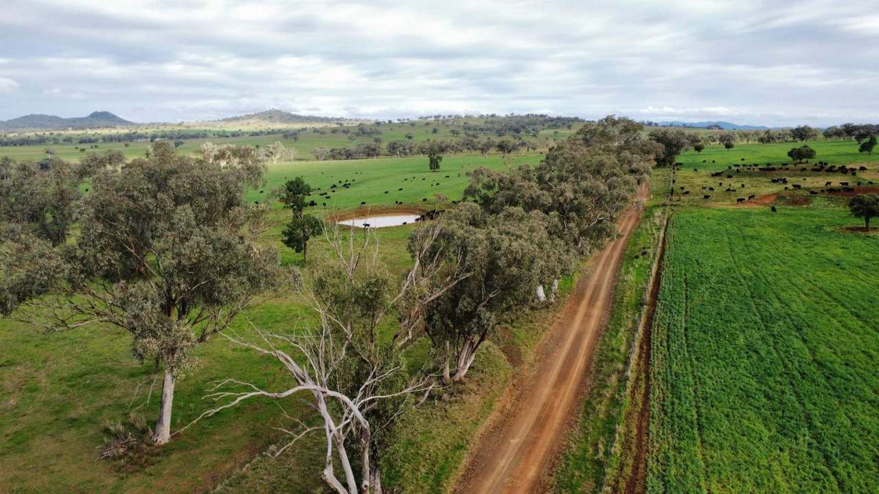 302 Glenbrook Road, Manilla Auction by Farmbuy.com - image 6