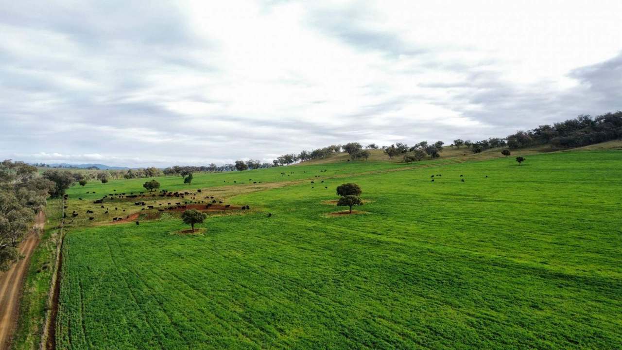 302 Glenbrook Road, Manilla Auction by Farmbuy.com - image 10