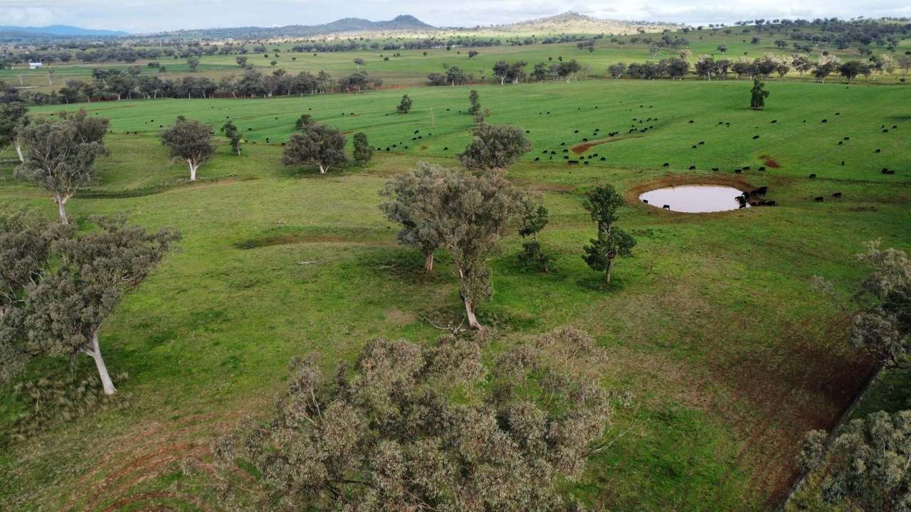 302 Glenbrook Road, Manilla Auction by Farmbuy.com - image 8