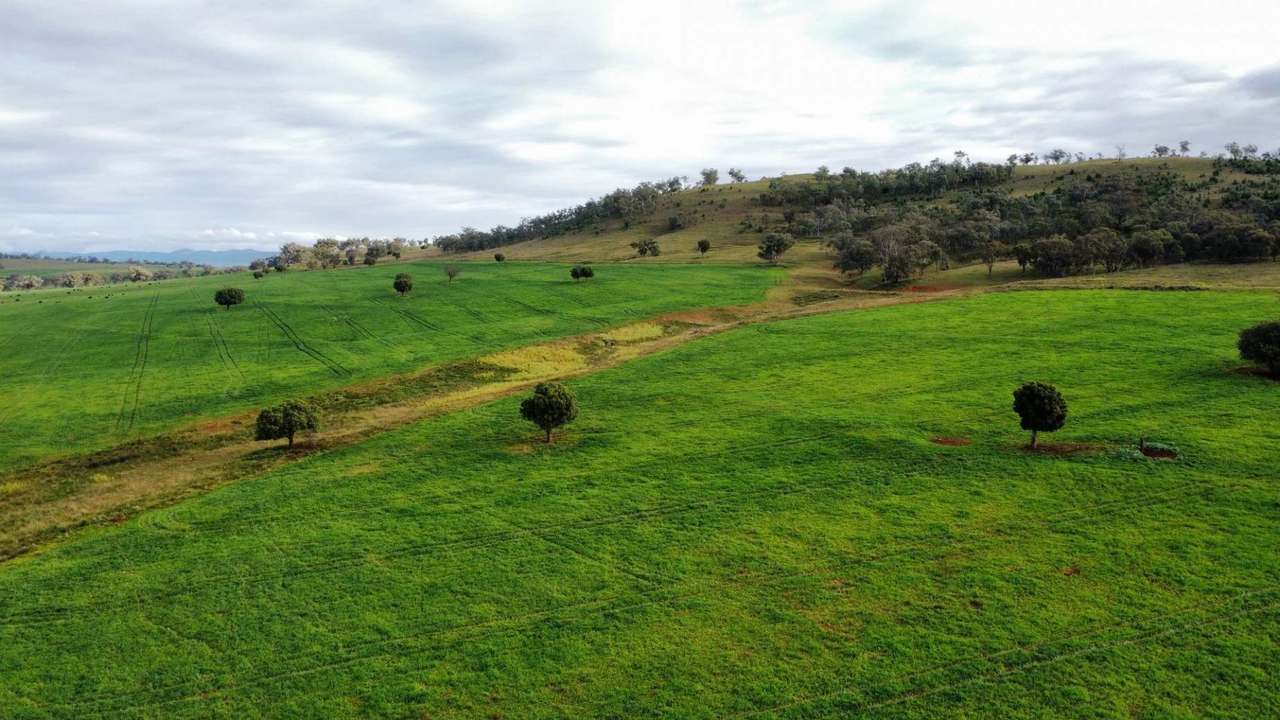302 Glenbrook Road, Manilla Auction by Farmbuy.com - image 9