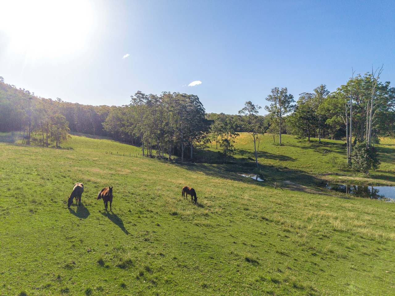 Proposed Lot 1/50 Elliots Road, Tamban For Sale by Farmbuy.com - image 27