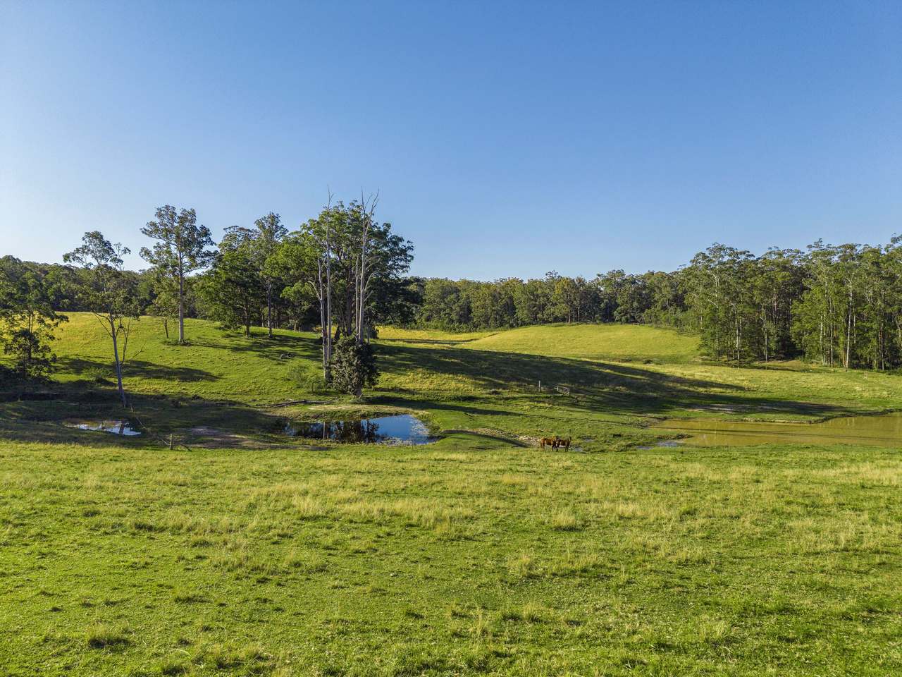 Proposed Lot 1/50 Elliots Road, Tamban For Sale by Farmbuy.com - image 5
