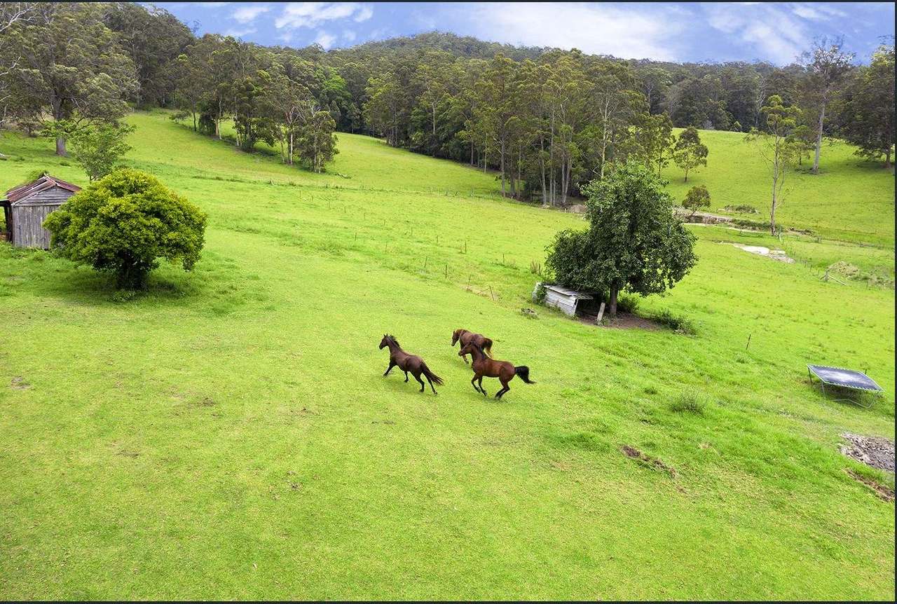 50 Elliots Road, Tamban For Sale by Farmbuy.com - image 20