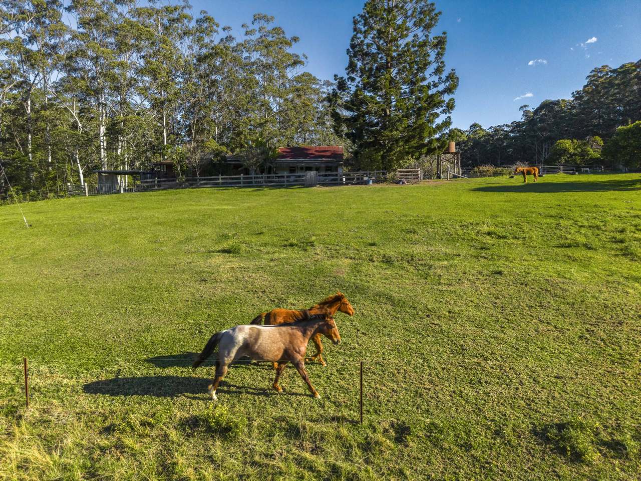 Proposed Lot 1/50 Elliots Road, Tamban For Sale by Farmbuy.com - image 4