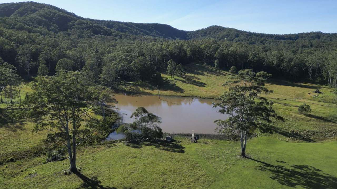 34 Kings Ridge Forest Road, Coramba  For Sale by Farmbuy.com - image 7