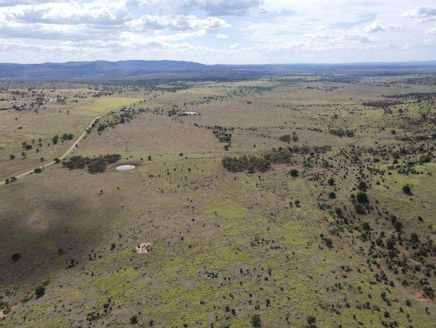 Biloela Auction by Farmbuy.com - image 10