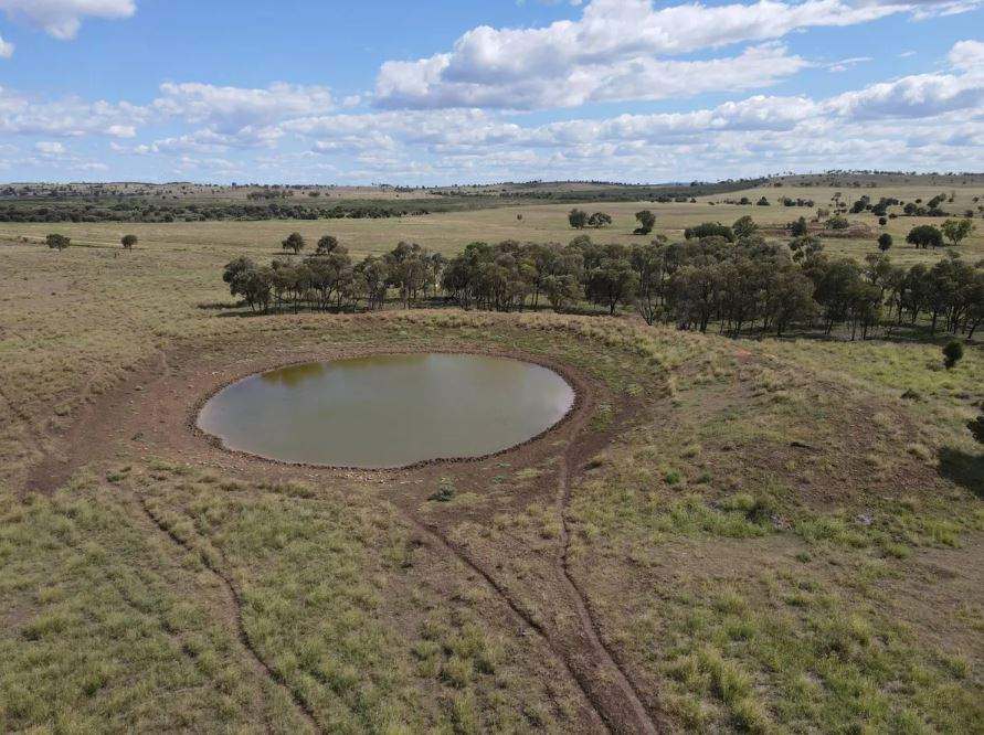 Biloela Auction by Farmbuy.com - image 8