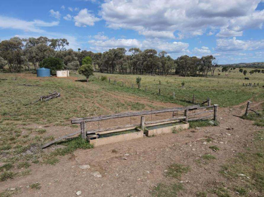 Biloela Auction by Farmbuy.com - image 7