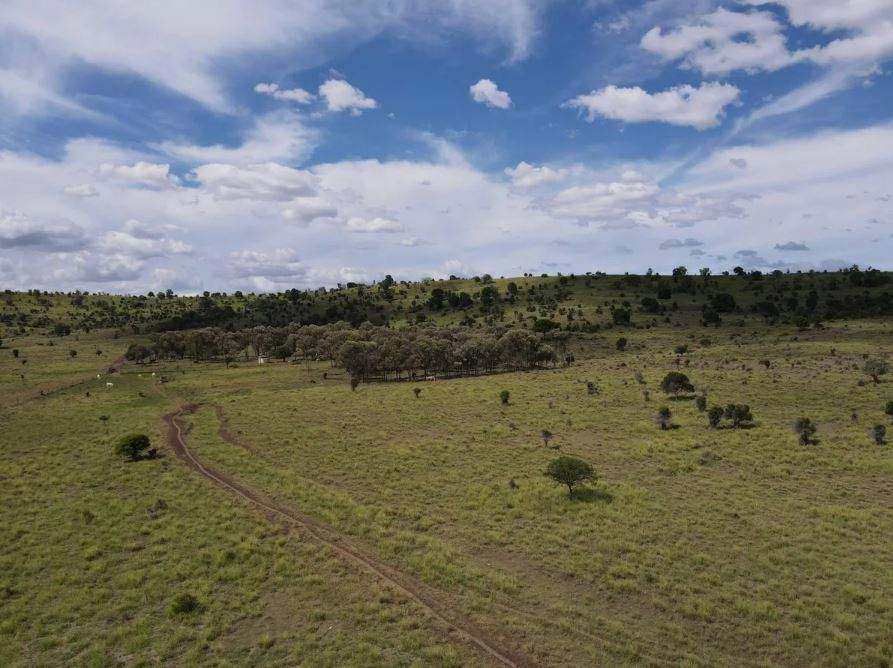 Biloela Auction by Farmbuy.com - image 3