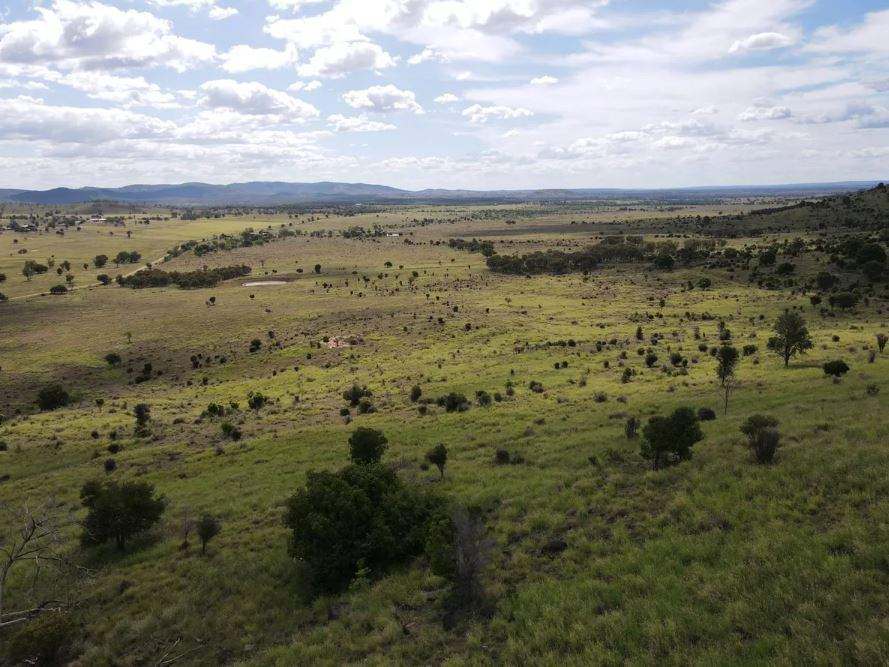 Biloela Auction by Farmbuy.com - image 6