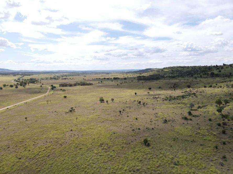 Biloela Auction by Farmbuy.com - image 2