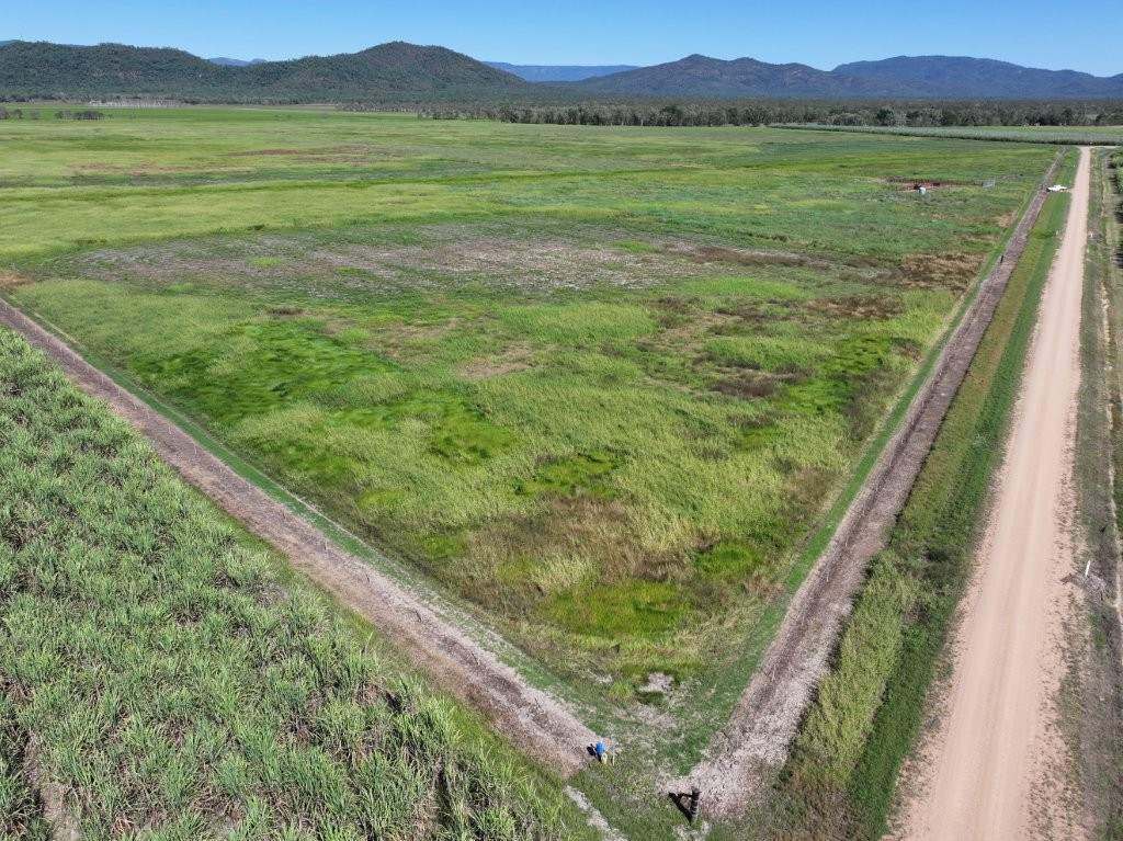 Pomona Road, Ingham For Sale by Farmbuy.com - image 23