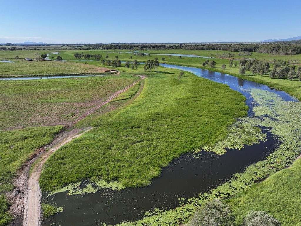 Pomona Road, Ingham For Sale by Farmbuy.com - image 11