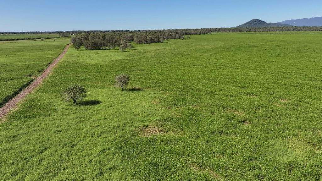 Pomona Road, Ingham For Sale by Farmbuy.com - image 47