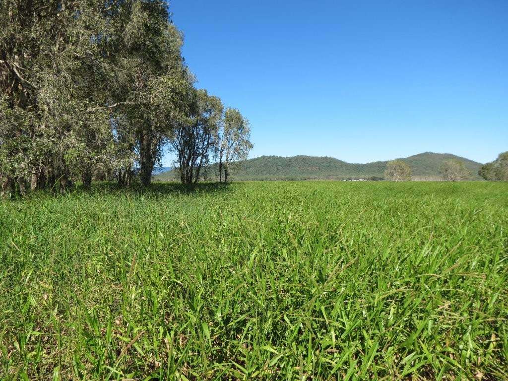 Pomona Road, Ingham For Sale by Farmbuy.com - image 32