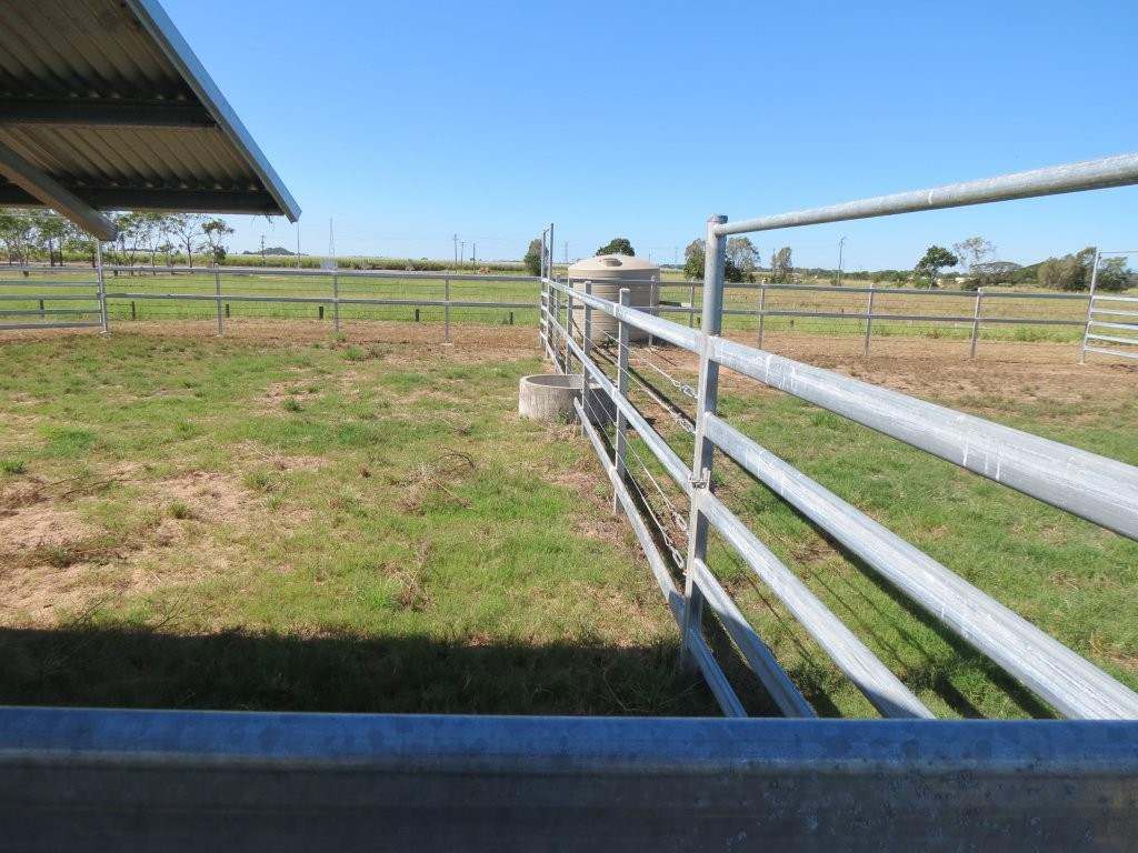 Pomona Road, Ingham For Sale by Farmbuy.com - image 39