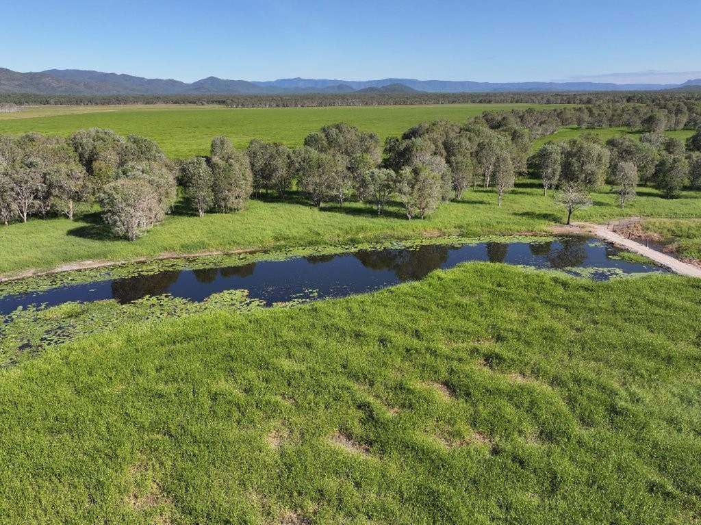 Pomona Road, Ingham For Sale by Farmbuy.com - image 18