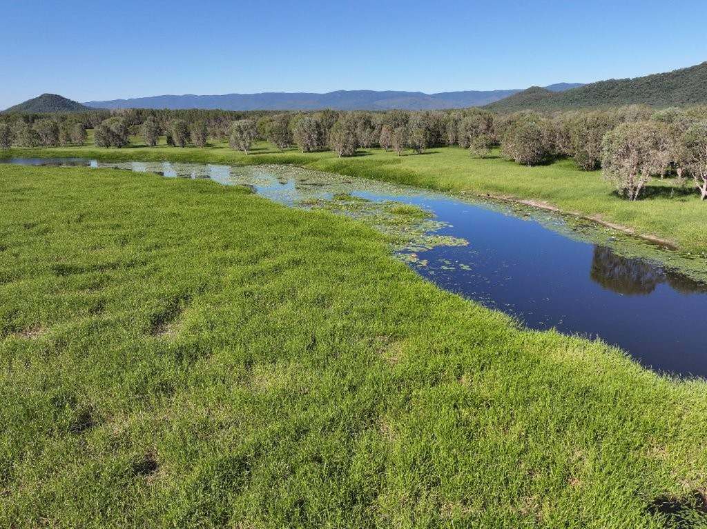 Pomona Road, Ingham For Sale by Farmbuy.com - image 19