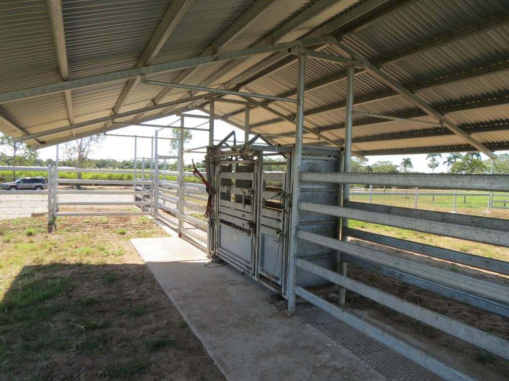 Pomona Road, Ingham For Sale by Farmbuy.com - image 38