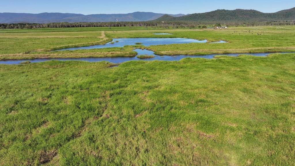 Pomona Road, Ingham For Sale by Farmbuy.com - image 12