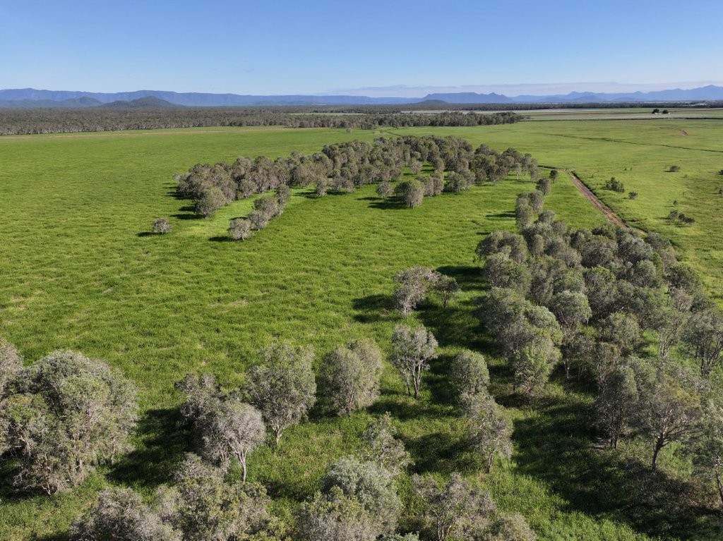 Pomona Road, Ingham For Sale by Farmbuy.com - image 16