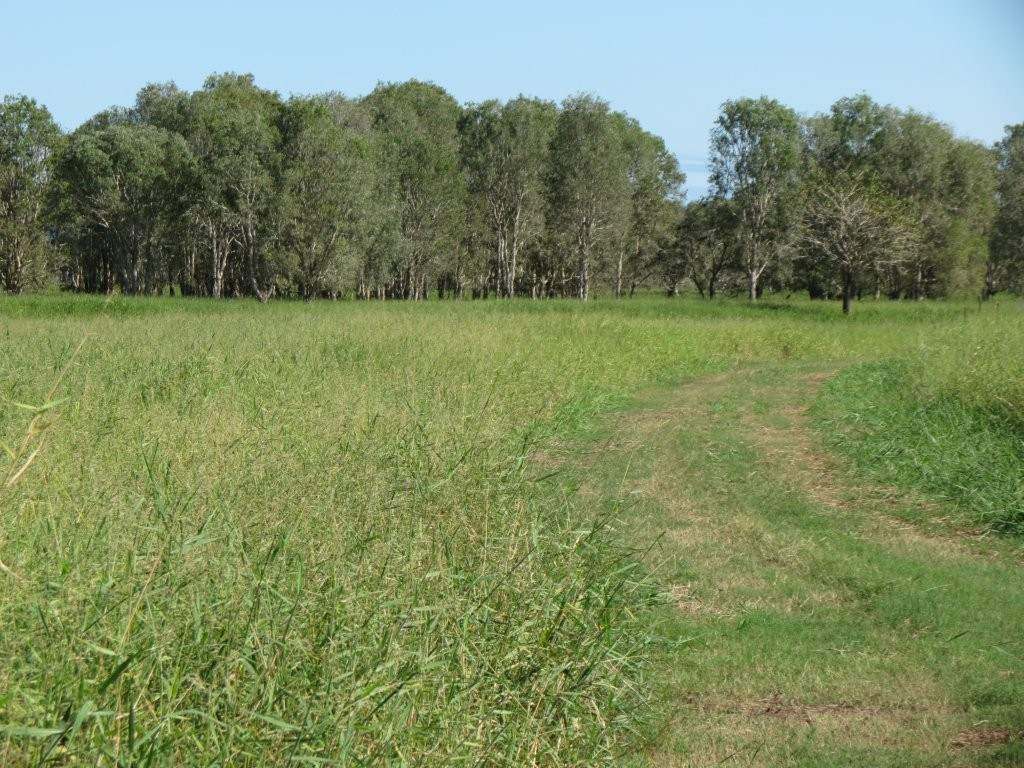 Pomona Road, Ingham For Sale by Farmbuy.com - image 8