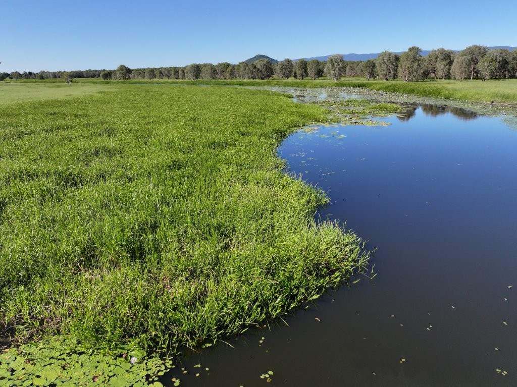 Pomona Road, Ingham For Sale by Farmbuy.com - image 20