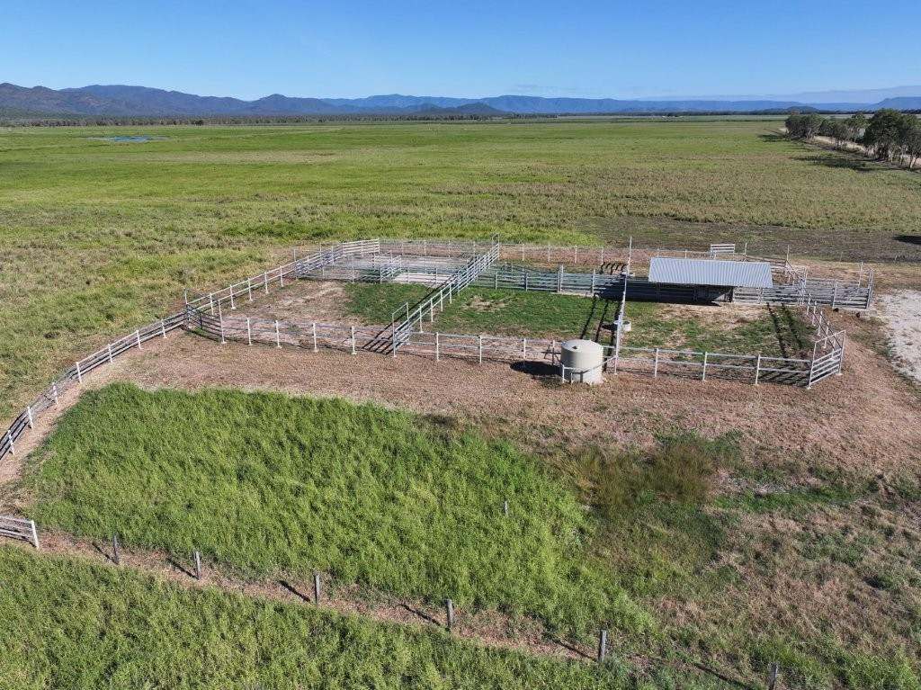 Pomona Road, Ingham For Sale by Farmbuy.com - image 36