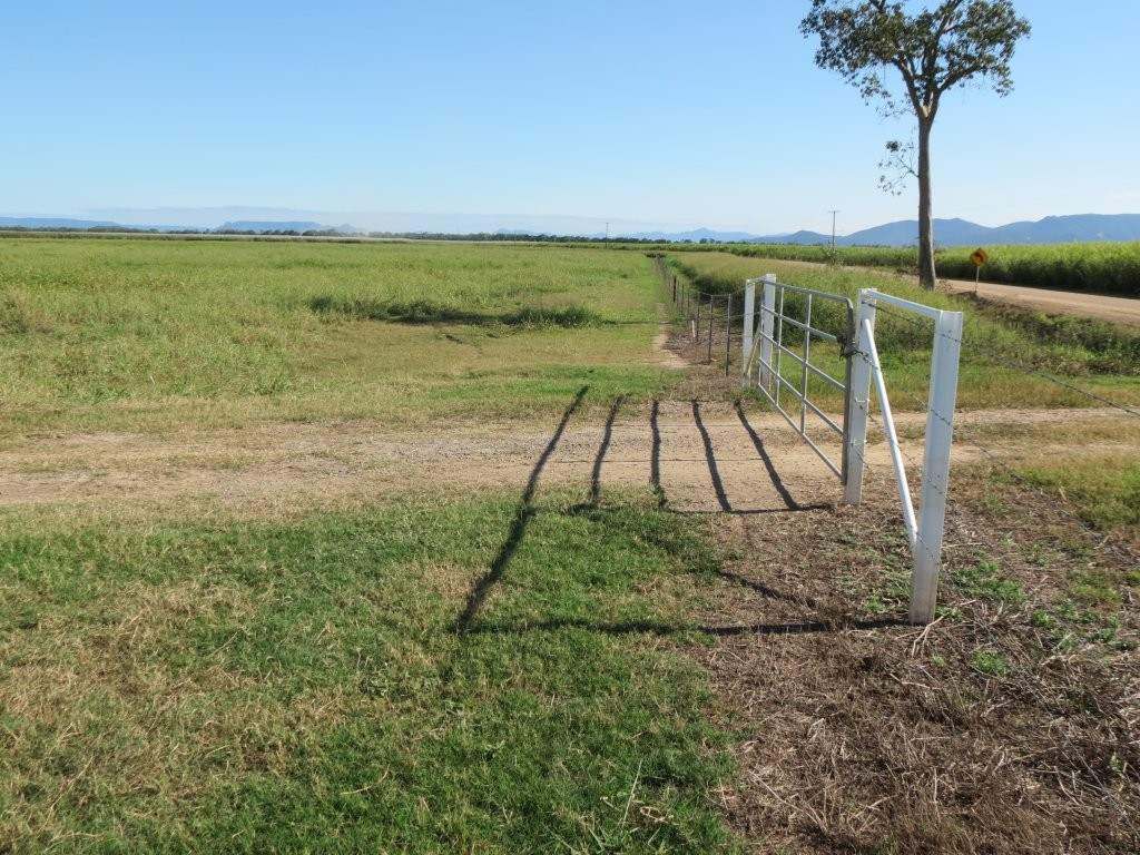 Pomona Road, Ingham For Sale by Farmbuy.com - image 25