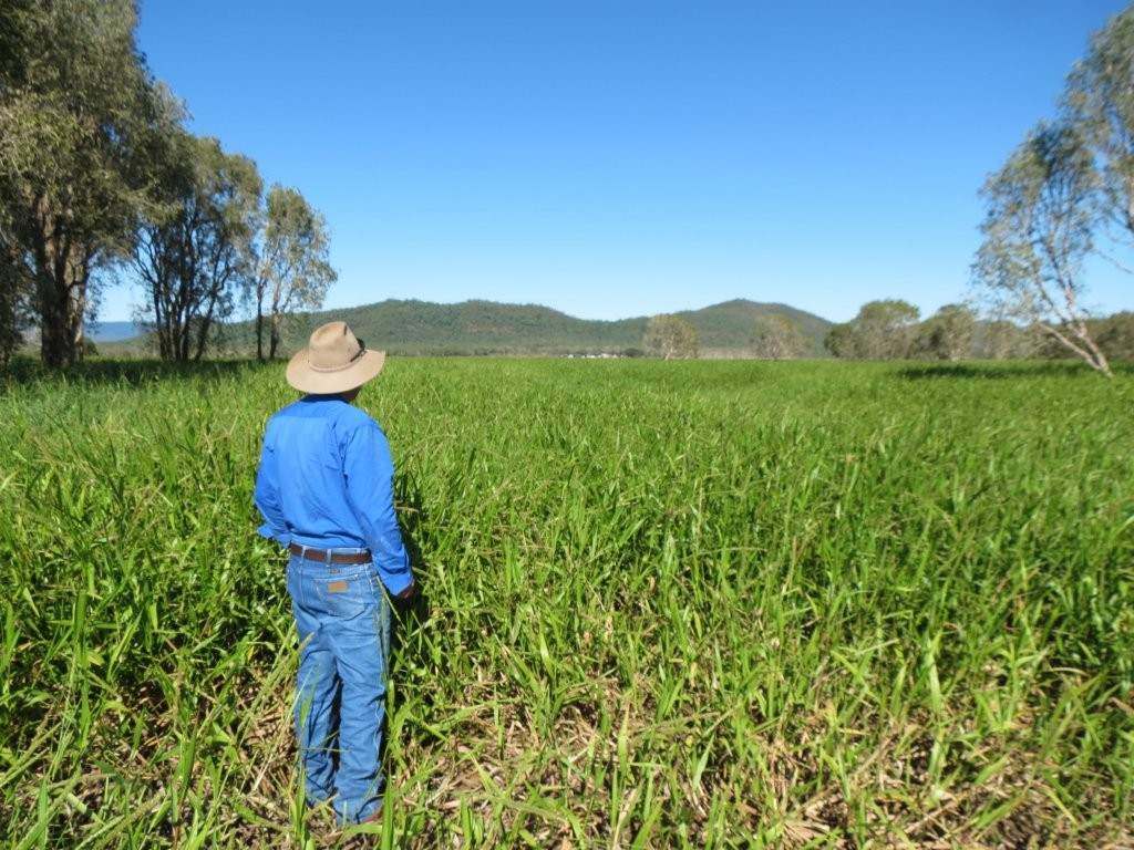 Pomona Road, Ingham For Sale by Farmbuy.com - image 6