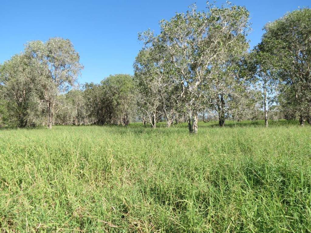 Pomona Road, Ingham For Sale by Farmbuy.com - image 30