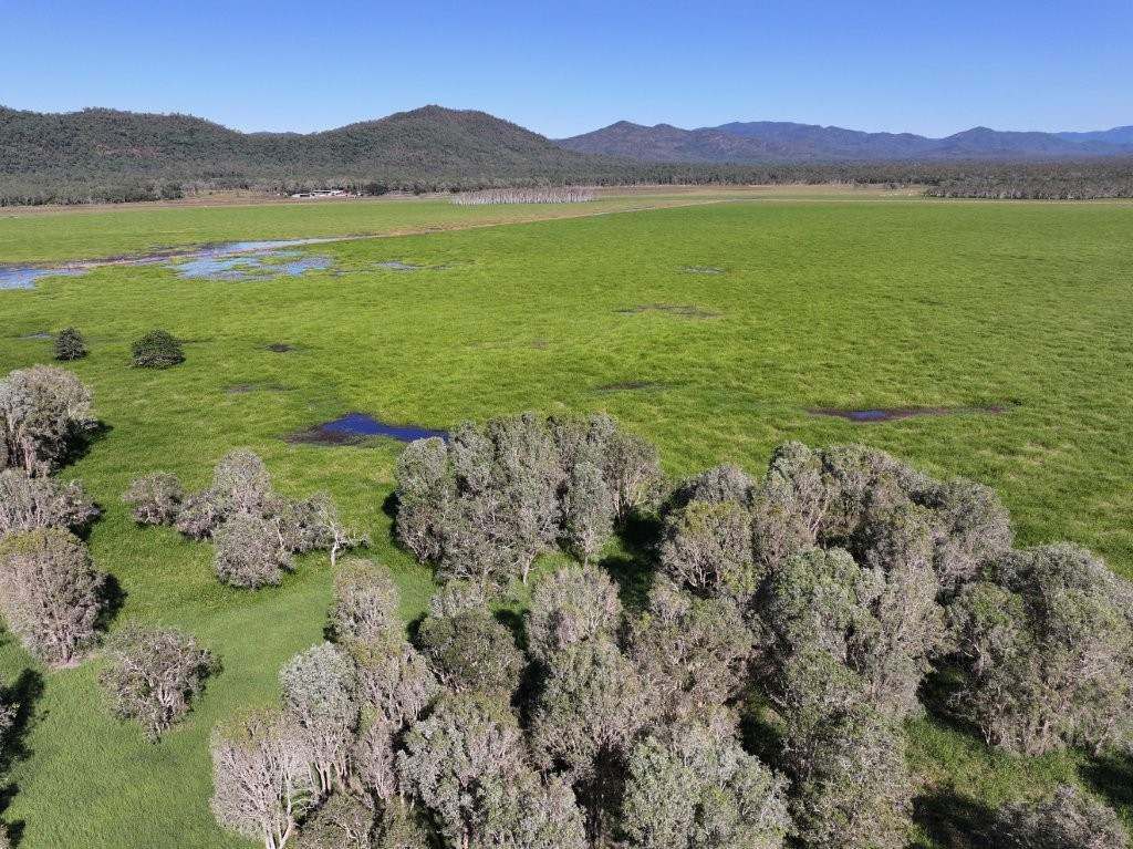 Pomona Road, Ingham For Sale by Farmbuy.com - image 17