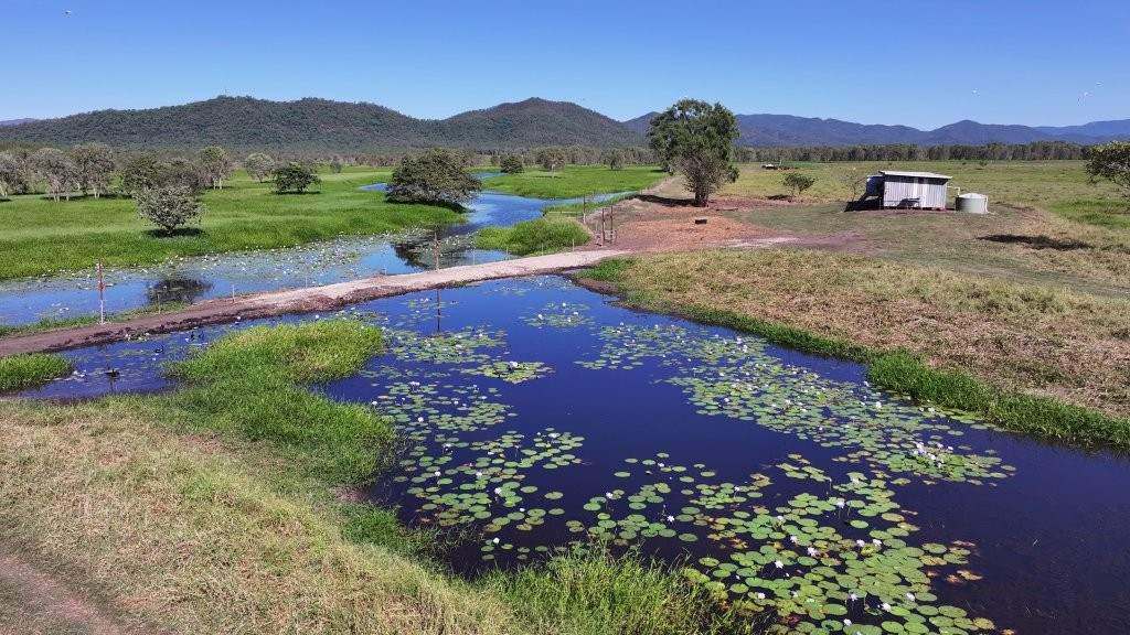 Pomona Road, Ingham For Sale by Farmbuy.com - image 9