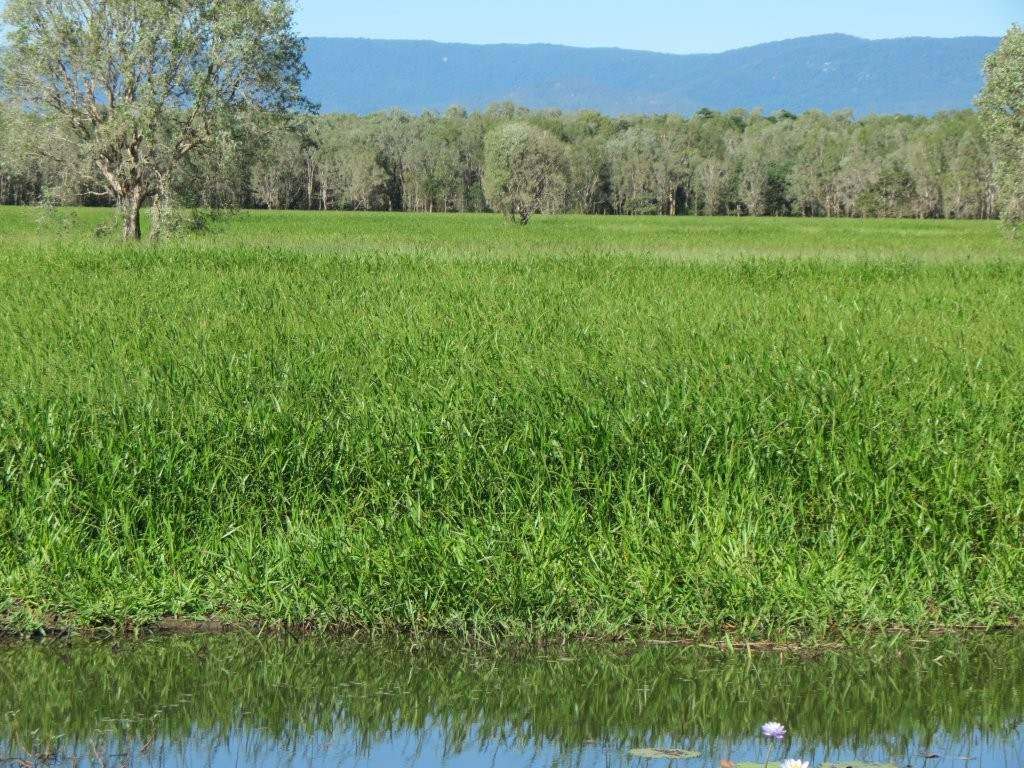 Pomona Road, Ingham For Sale by Farmbuy.com - image 34