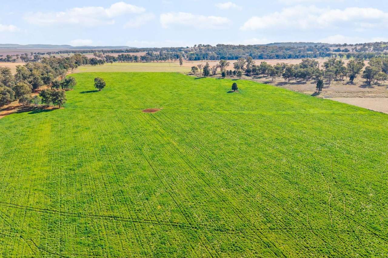 Wallamar, Willow Tree Expressions of Interest by Farmbuy.com - image 8