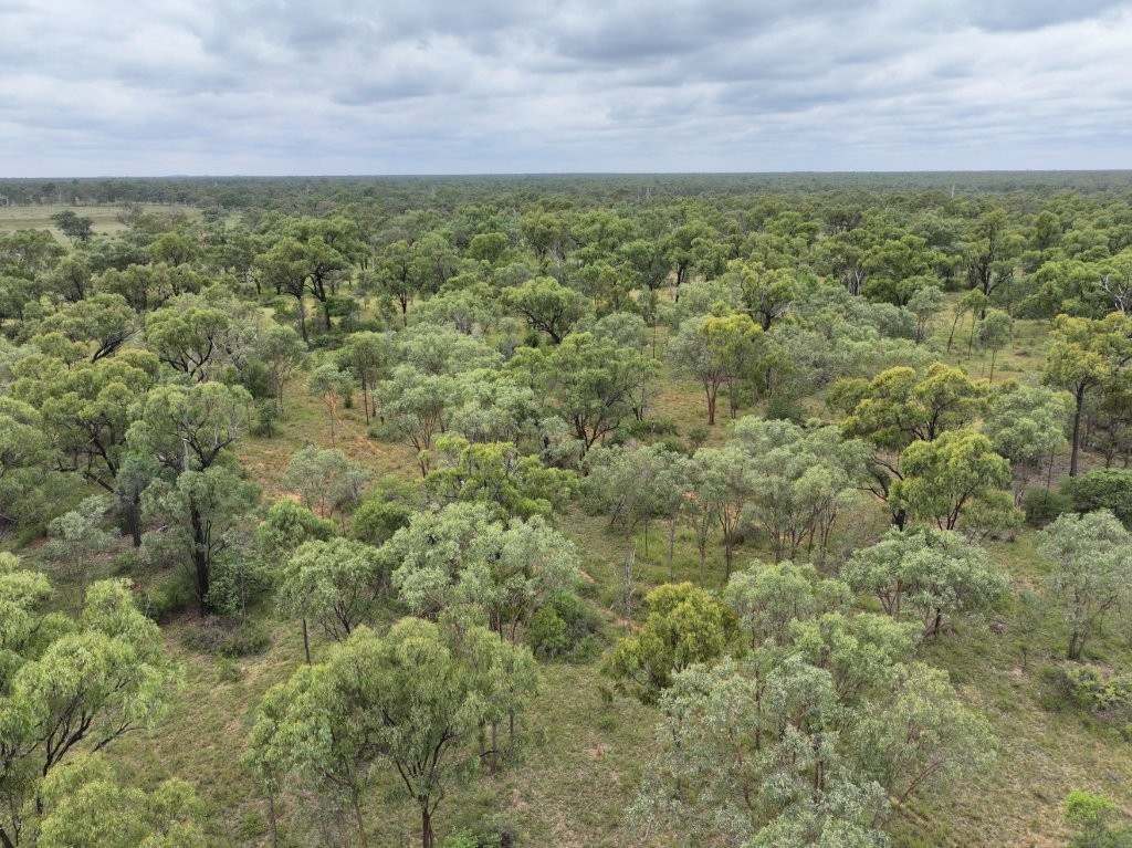 22386 Flinders Highway, Pentland For Sale by Farmbuy.com - image 22