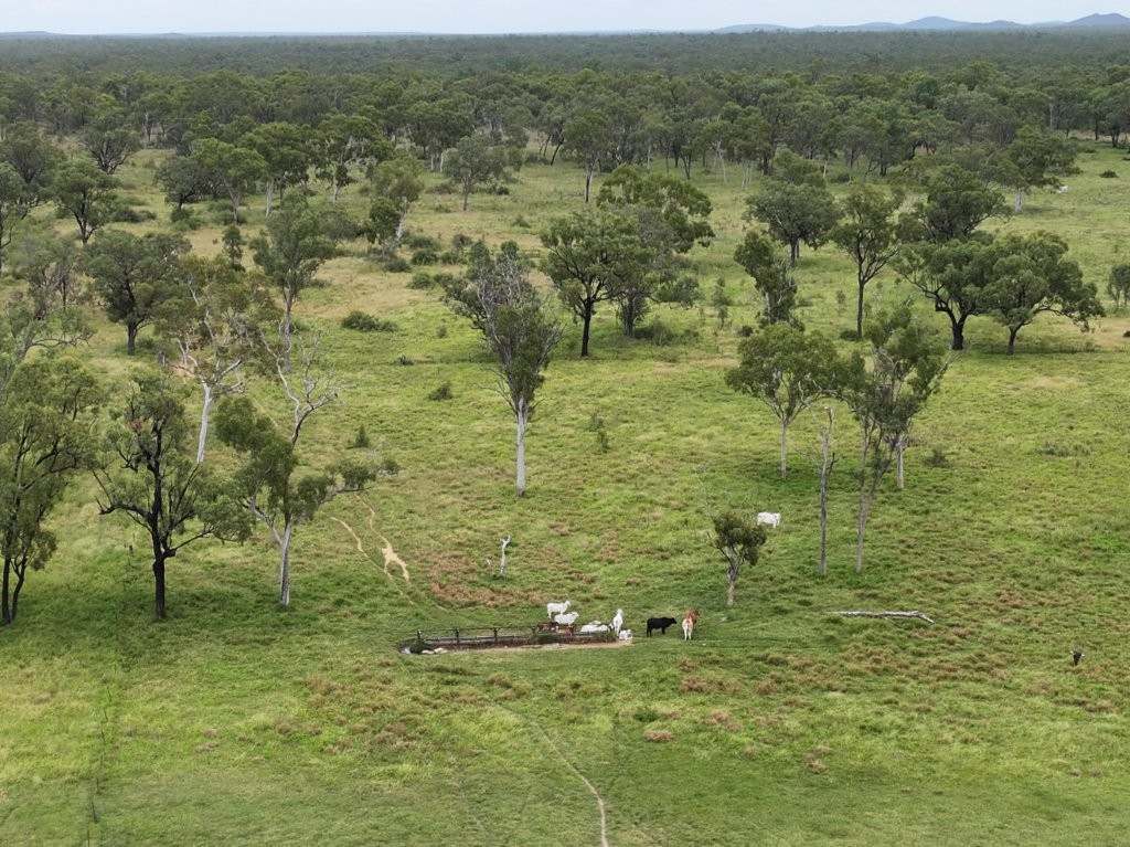 22386 Flinders Highway, Pentland For Sale by Farmbuy.com - image 5