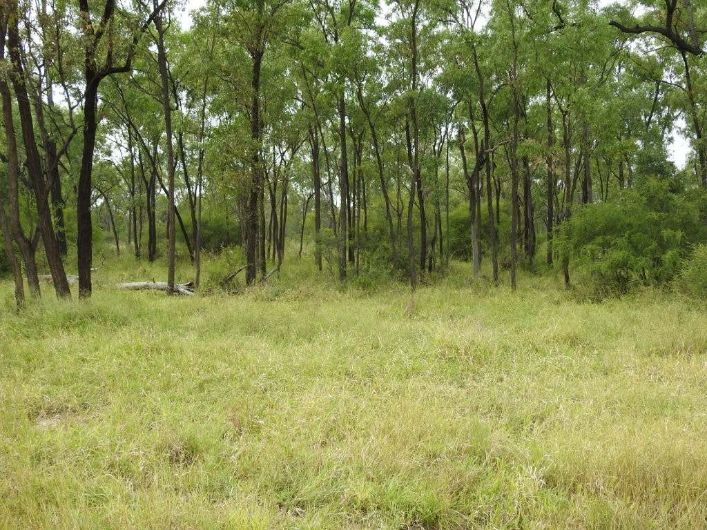 22386 Flinders Highway, Pentland For Sale by Farmbuy.com - image 27