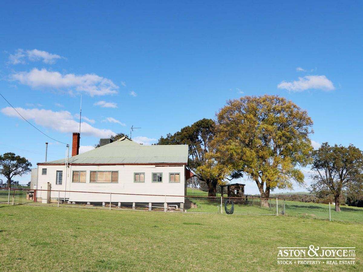 3378 Mid Western Highway, Grenfell For Sale by Farmbuy.com - image 23