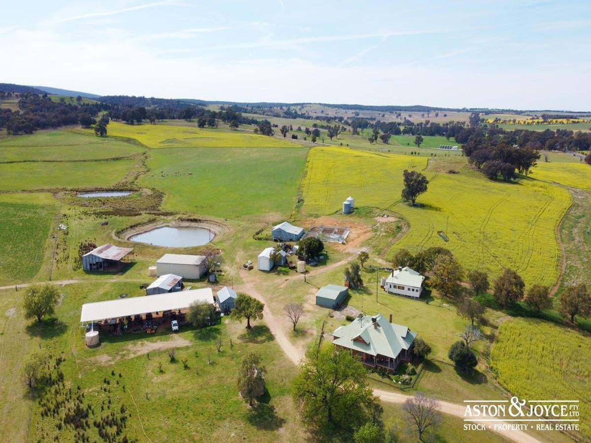 3378 Mid Western Highway, Grenfell For Sale by Farmbuy.com - image 25