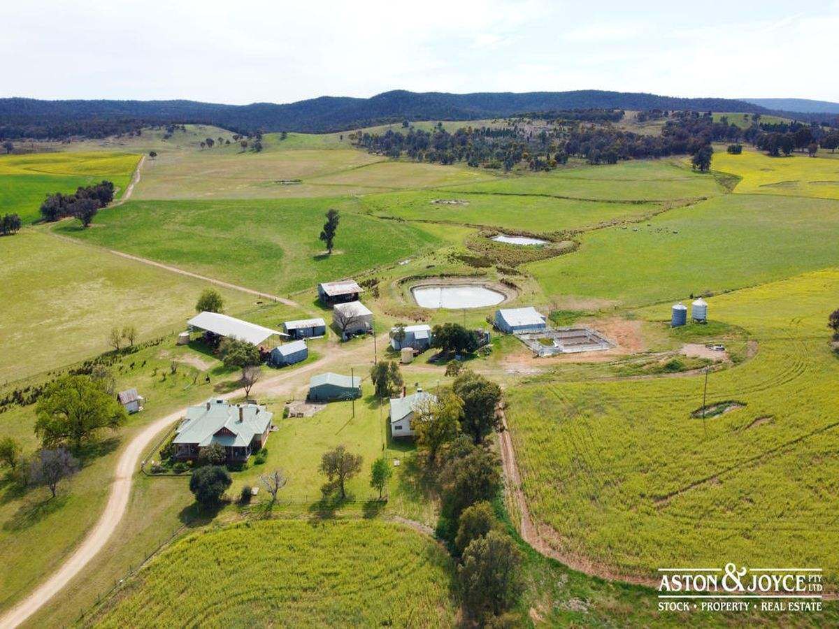 3378 Mid Western Highway, Grenfell For Sale by Farmbuy.com - image 29