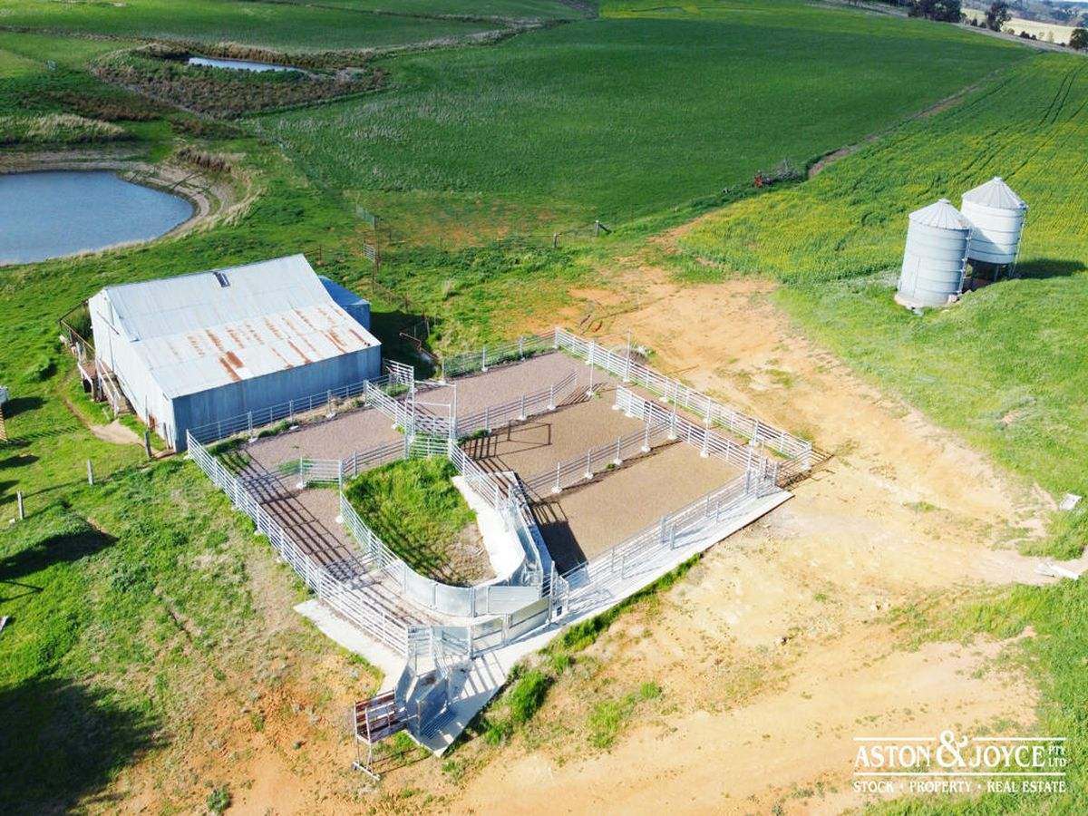 3378 Mid Western Highway, Grenfell For Sale by Farmbuy.com - image 24