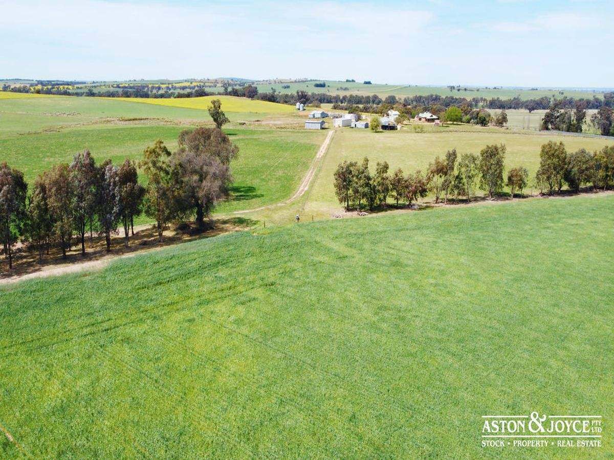 3378 Mid Western Highway, Grenfell For Sale by Farmbuy.com - image 35