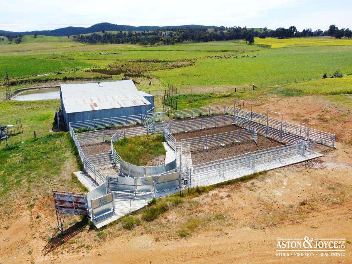 3378 Mid Western Highway, Grenfell For Sale by Farmbuy.com - image 3