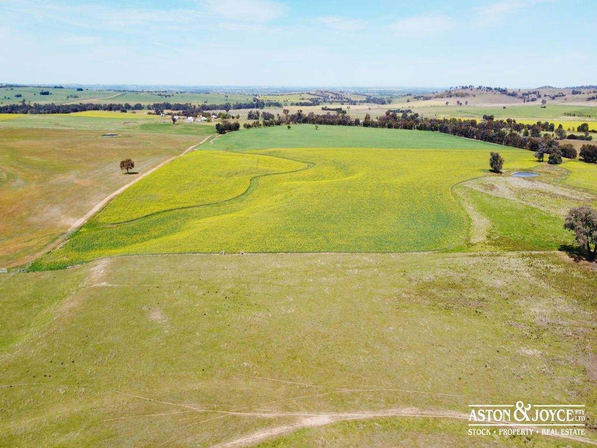 3378 Mid Western Highway, Grenfell For Sale by Farmbuy.com - image 40